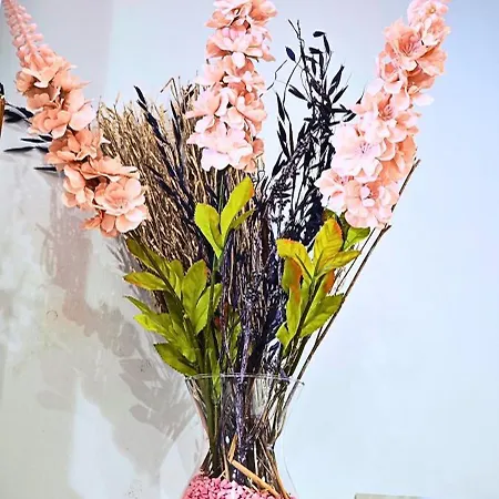 Vacansis El Pilar * Walencja